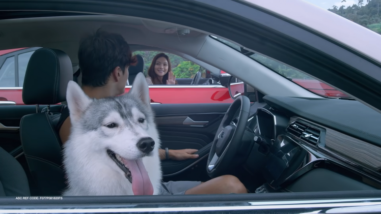 Own Every Moment with the All-New Ford Territory